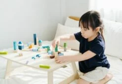 PLANTOYS Planworld Spielklötze Großstadt Bausteine -Siku-Shop 25754530 04